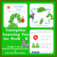 Caterpillar-Pack-Main-Image