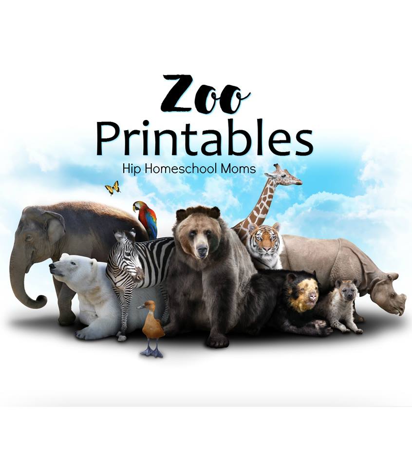 zoo related printables hip homeschool moms