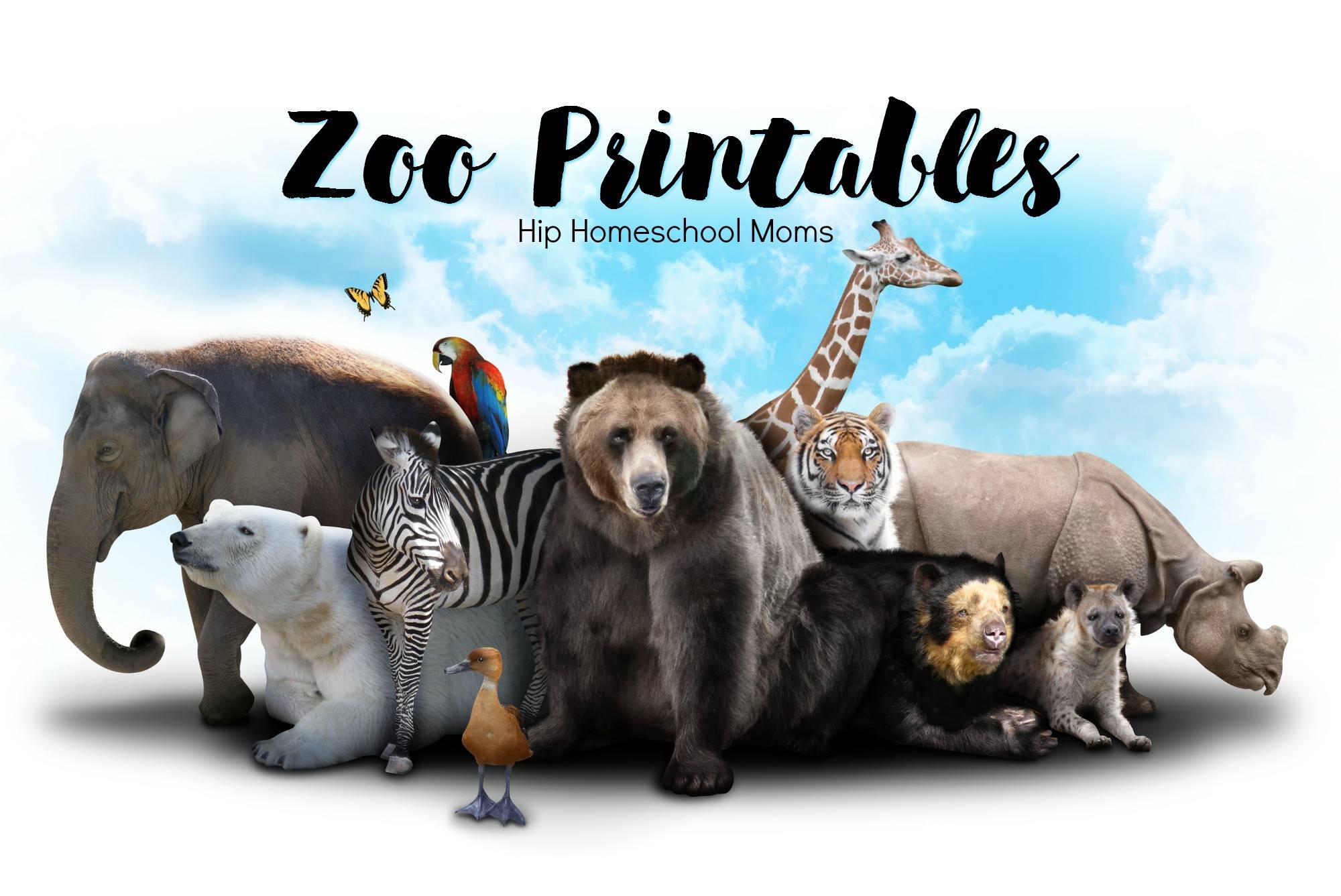 Zoo Related Printables