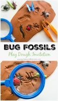 HHM-play-dough-bug-fossils-pin-III