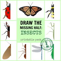Insect-Drawing-Prompt-Printables-Draw-the-Missing-Half-FB