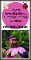 insect-citizen-science1