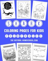 shark-coloring-pages-main