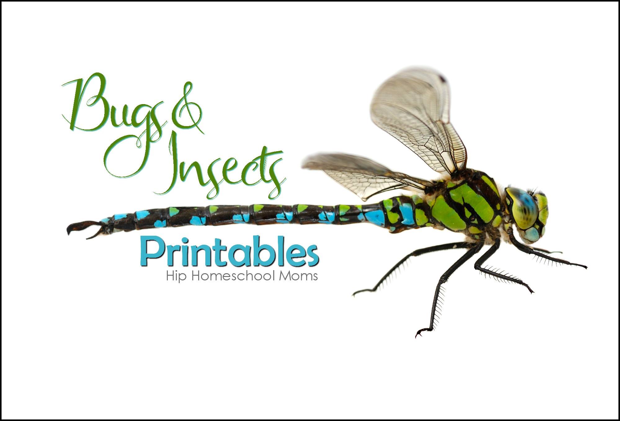 HHM Insects and Bugs Freebie Friday July 2016