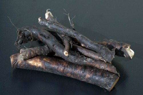 comfrey root