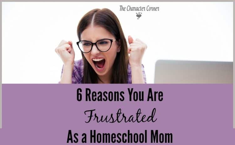 hhm-6-reasons-you-are-frustrated-as-a-homeschool-mom
