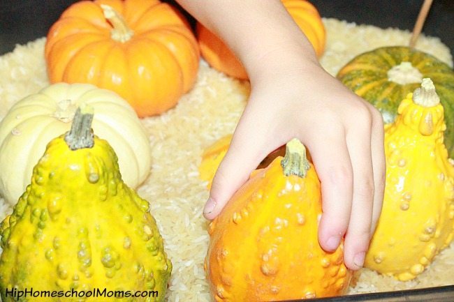 Fall Sensory Bins for Preschoolers