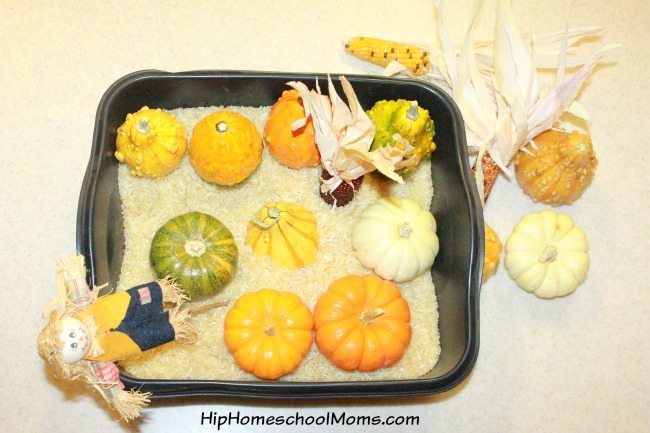 Fall Sensory Bins for Preschoolers