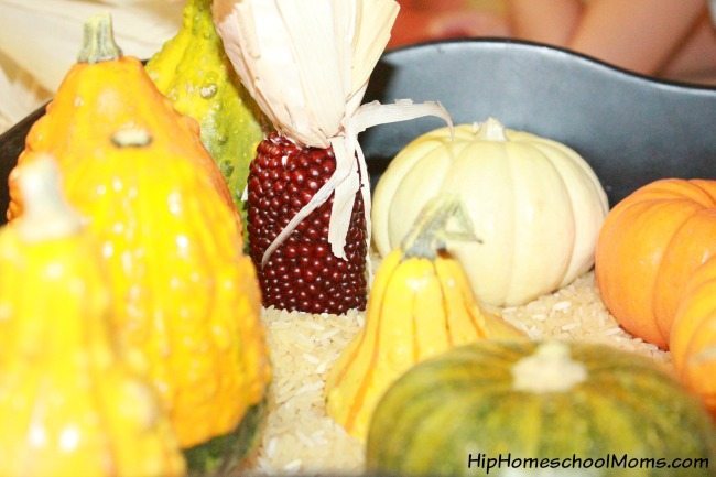 Fall Sensory Bins for Preschool