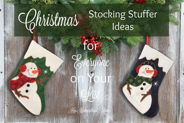 Christmas Stocking Stuffer Ideas for Everyone on Your List
