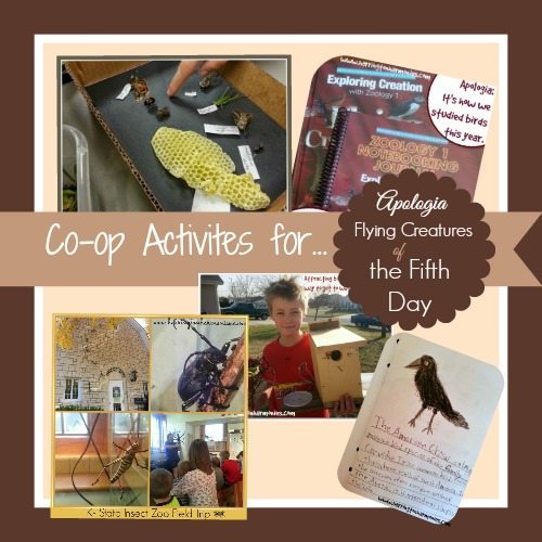 Flying Creatures of the Fifth Day Activities for your Co-op