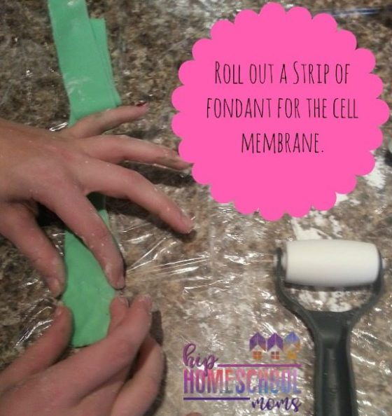 Edible Cell Project: Chocolate Chip Cookie Science - Hip Homeschool Moms