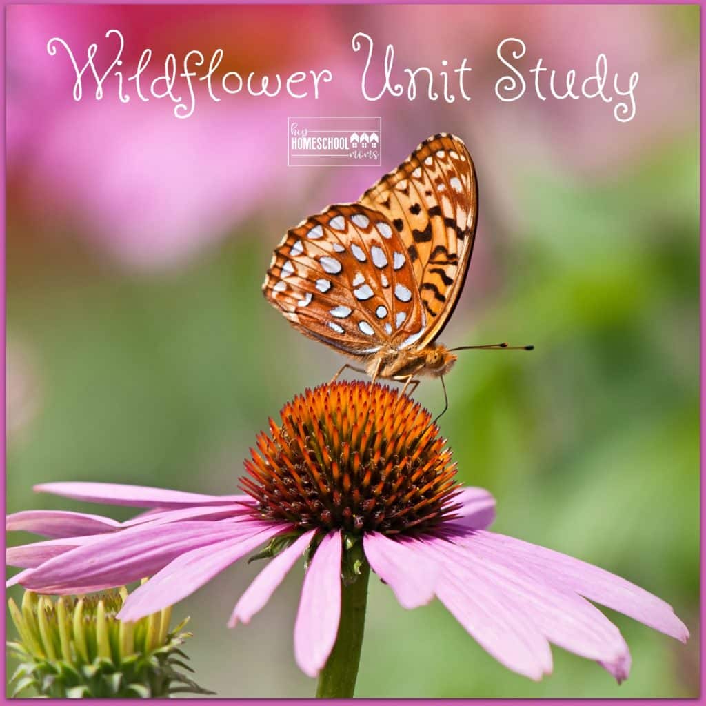 5 easy steps for a wildflower unit study!