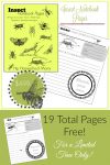 Insect Notebook Pages