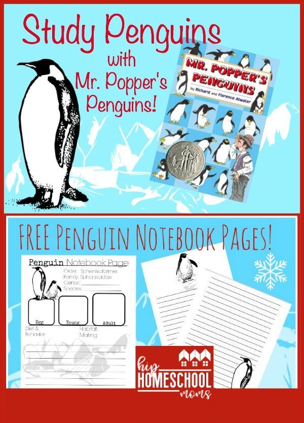 Penguin Study with Mr. Popper's Penguins