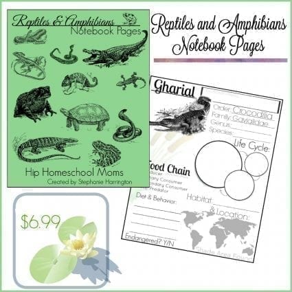 Reptiles and Amphibian Notebook Pages