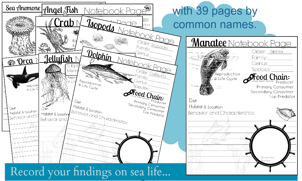 Sea Life Notebook Pages