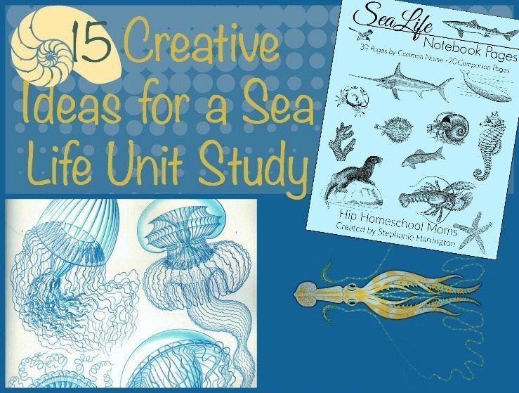 15 Creative Ideas for a Sea Life Unit Study