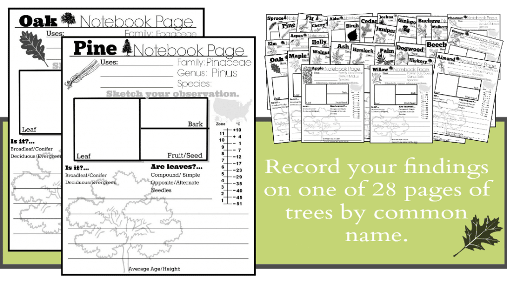 Record Tree Info on one of 28 pages by common name.