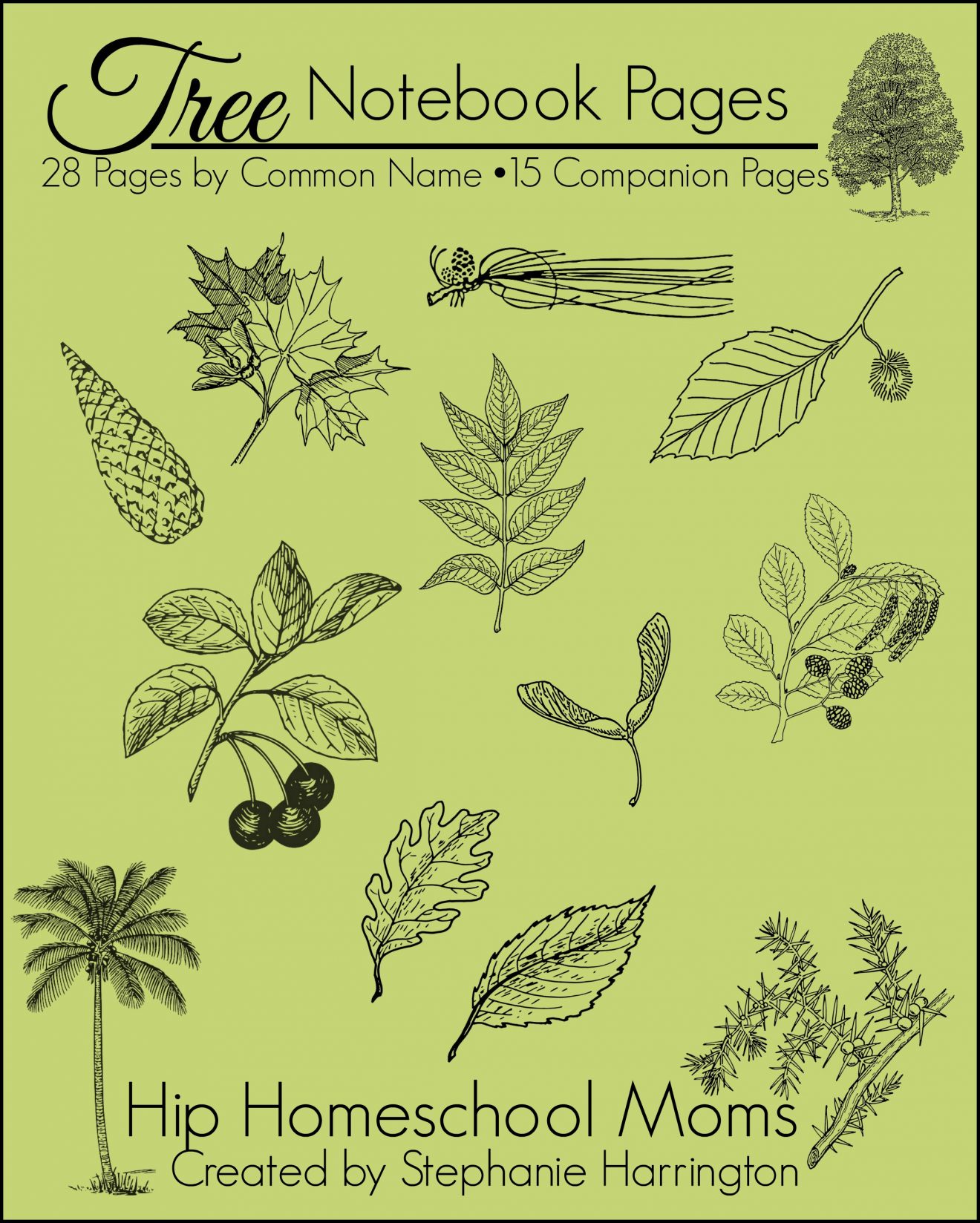Tree Notebook Pages | Hip Homeschool Moms
