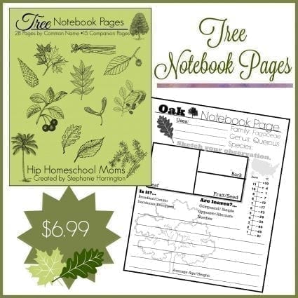 Tree Notebook Pages