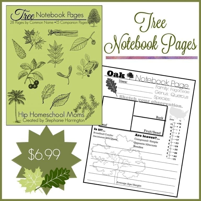 Tree Notebook Pages - Hip Homeschool Moms