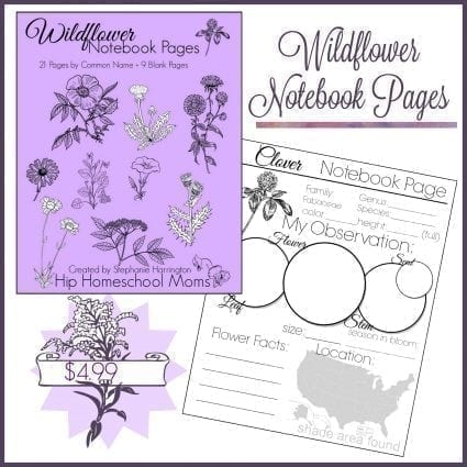 Wildflower Notebook Pages
