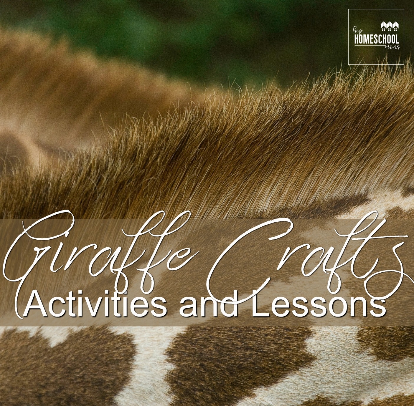 Giraffe Crafts, Activities, and Lessons