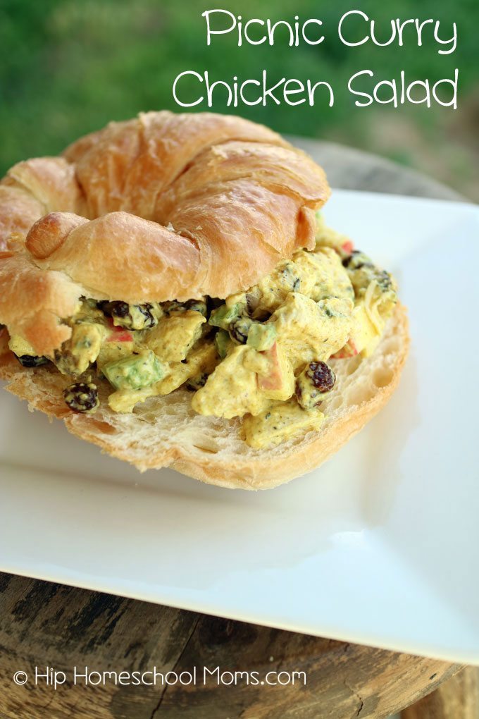 Picnic Curry Chicken Salad from Hip Homeschool Moms