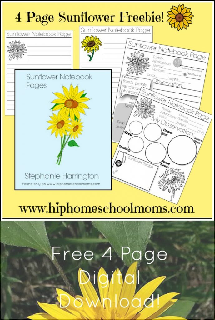 Free Wildflower Notebook Pages