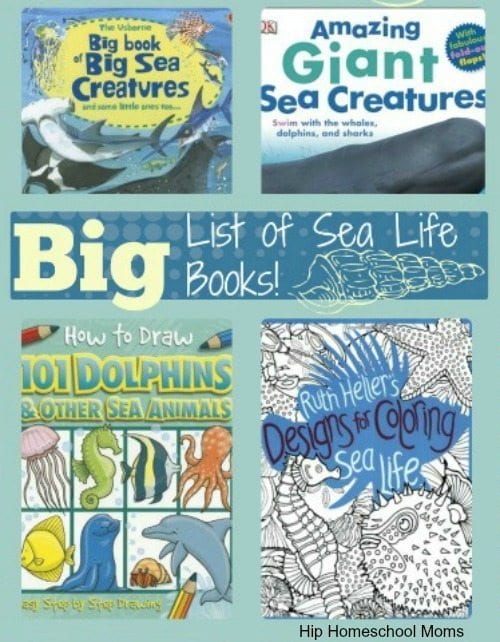 Big List of Sea Life Books