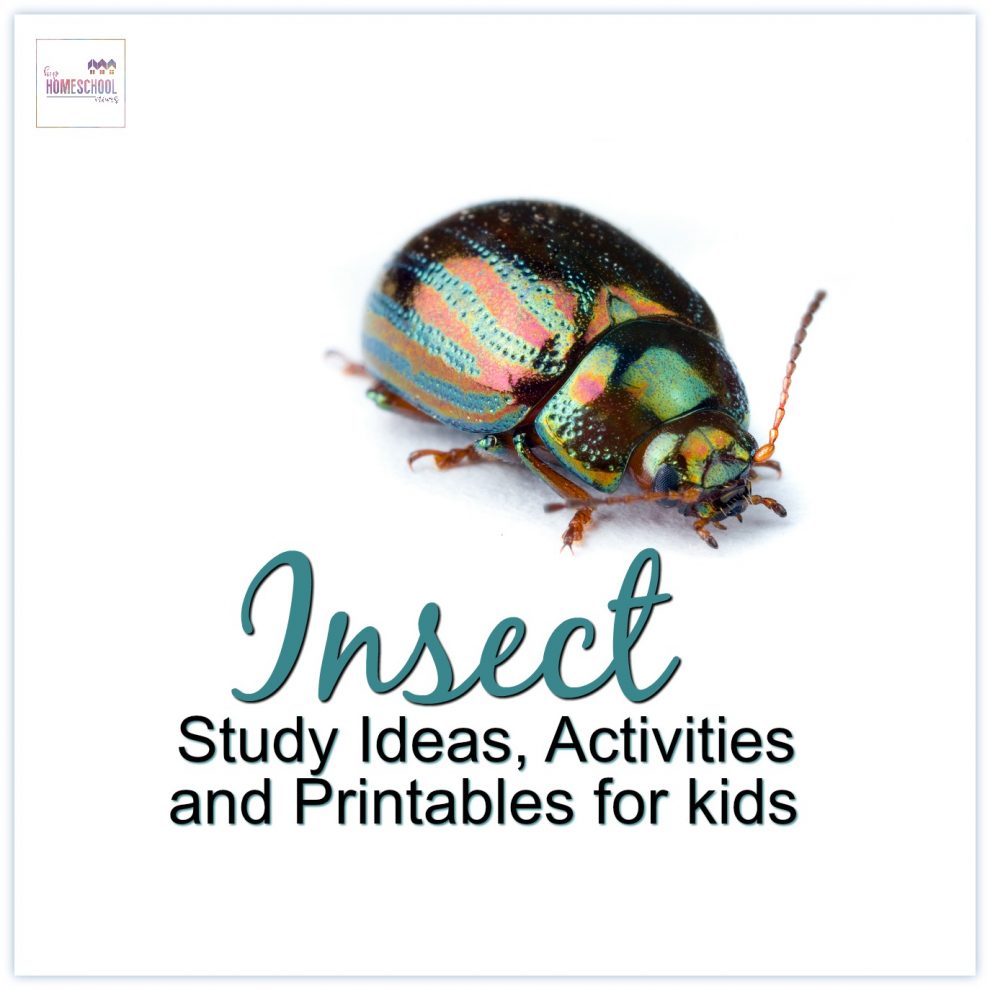 Insect and Animal Ideas, Activities, and Printables for Kids! - Hip ...