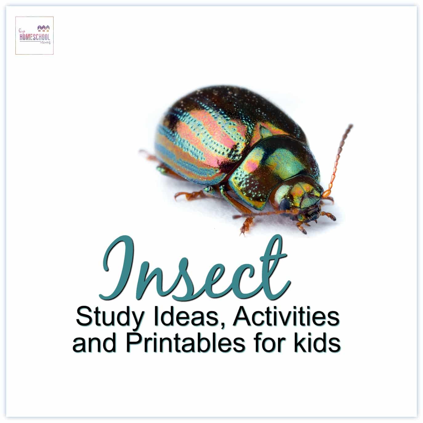 Insect and Animal Ideas, Activities, and Printables for Kids!