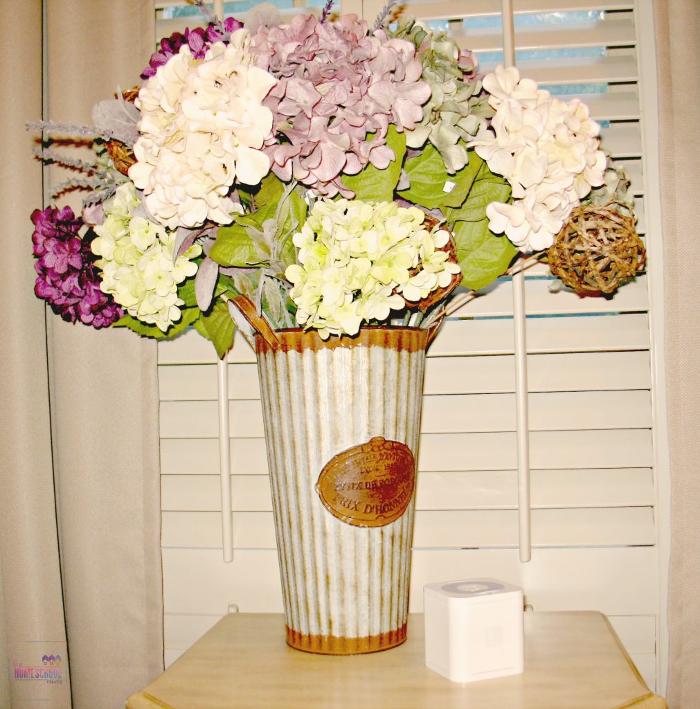 circle with disney on table with hydrangeas in the background