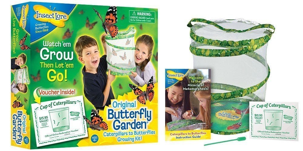 DEAL ALERT: Insect Lore Original Butterfly Garden with Voucher – 42% off!