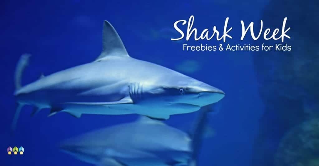 sharks underwater in dark blue sea
