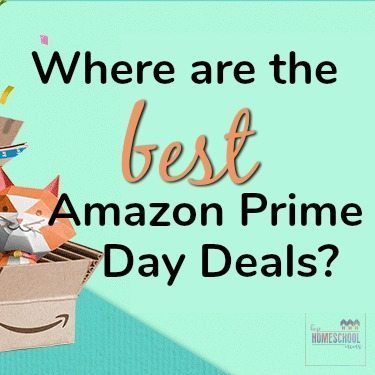 Where Are the BEST Amazon Prime Day Deals?