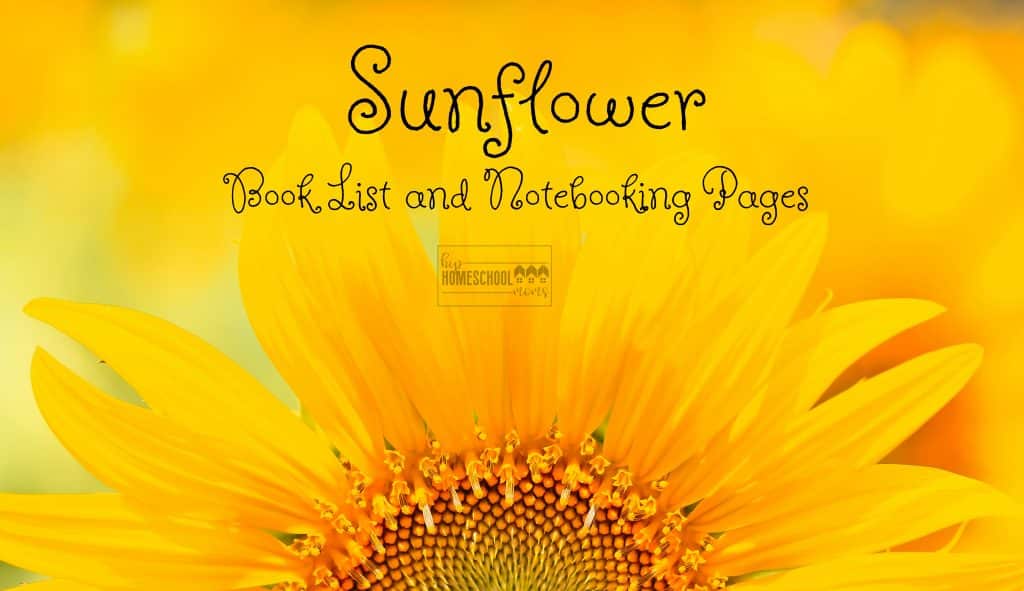 You'll love these books and notebooking pages about sunlowers!