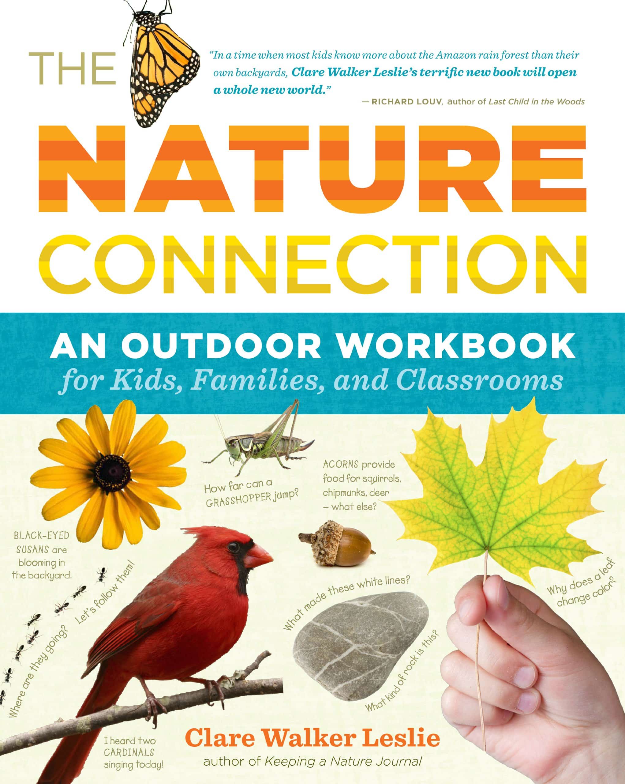 DEAL ALERT: Nature Connection: An Outdoor Workbook – 59% off and 4.5 stars!