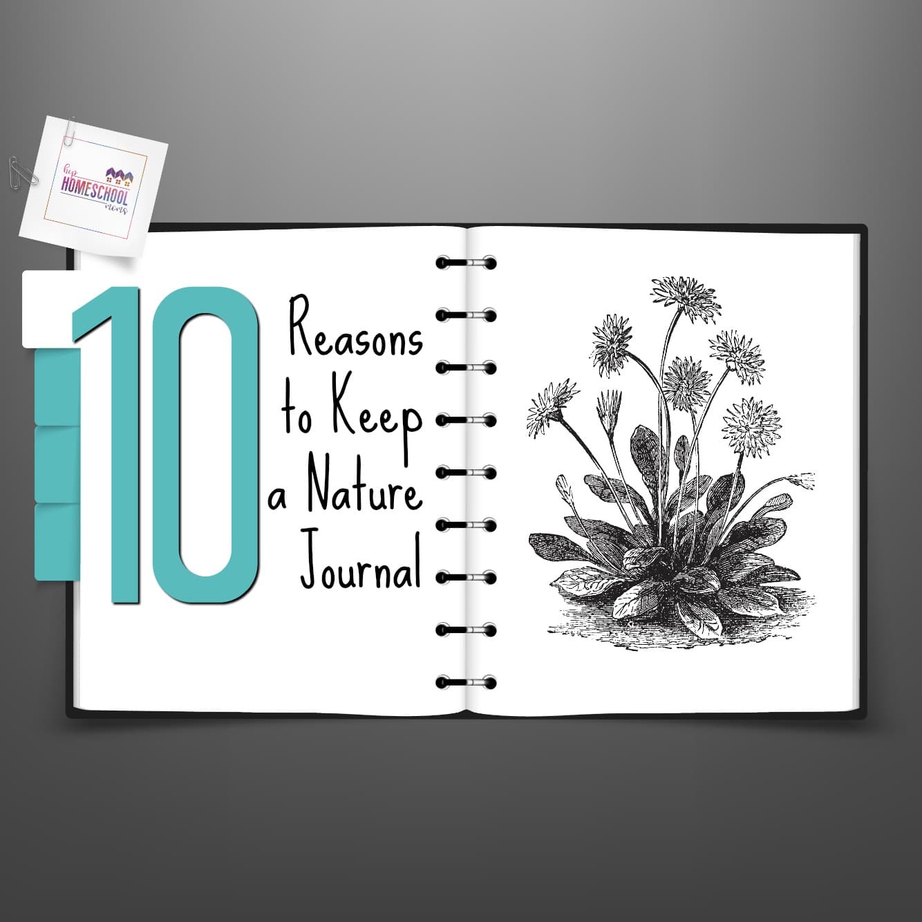 10 Reasons to Keep a Nature Journal