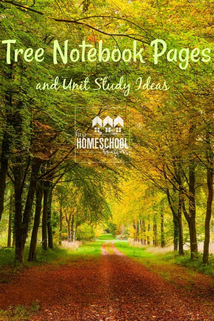 Easy tree unit study ideas and notebooking pages!