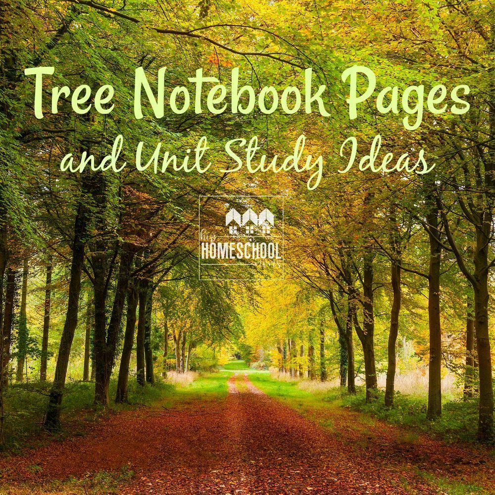 Tree Notebook Pages and Unit Study Ideas