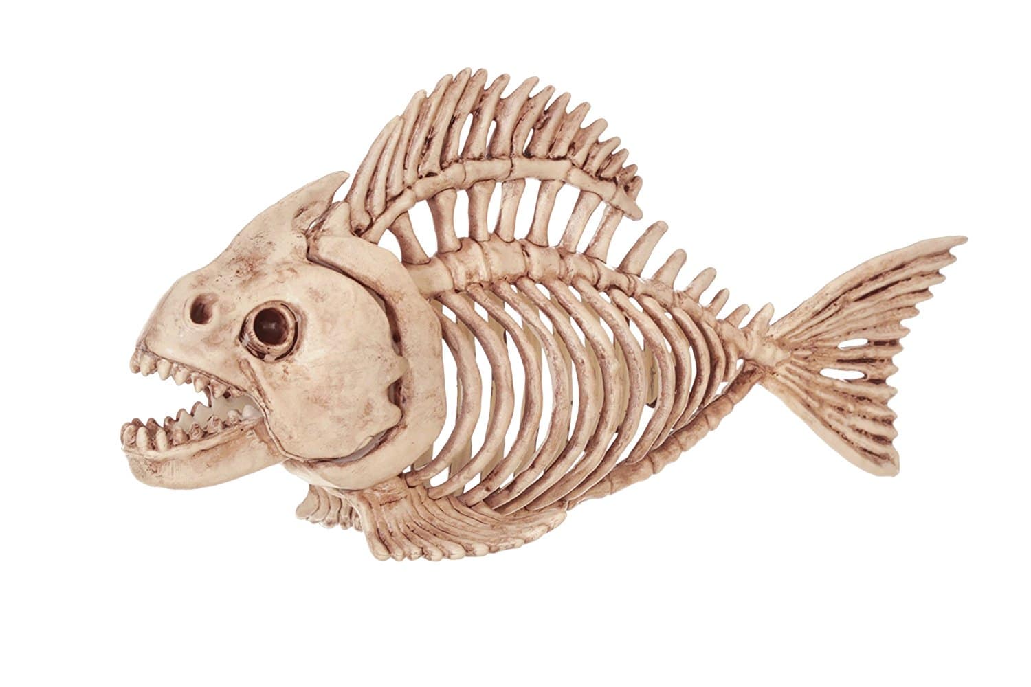 DEAL ALERT: Crazy Bonez Skeleton Fish – 43%