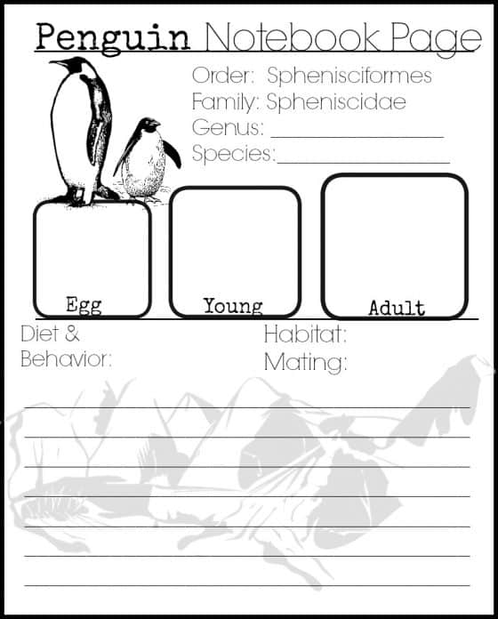 Penguin Notebook Page Fact Sheet