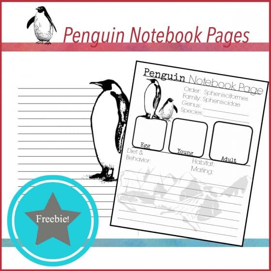 Free Penguin Notebook Pages