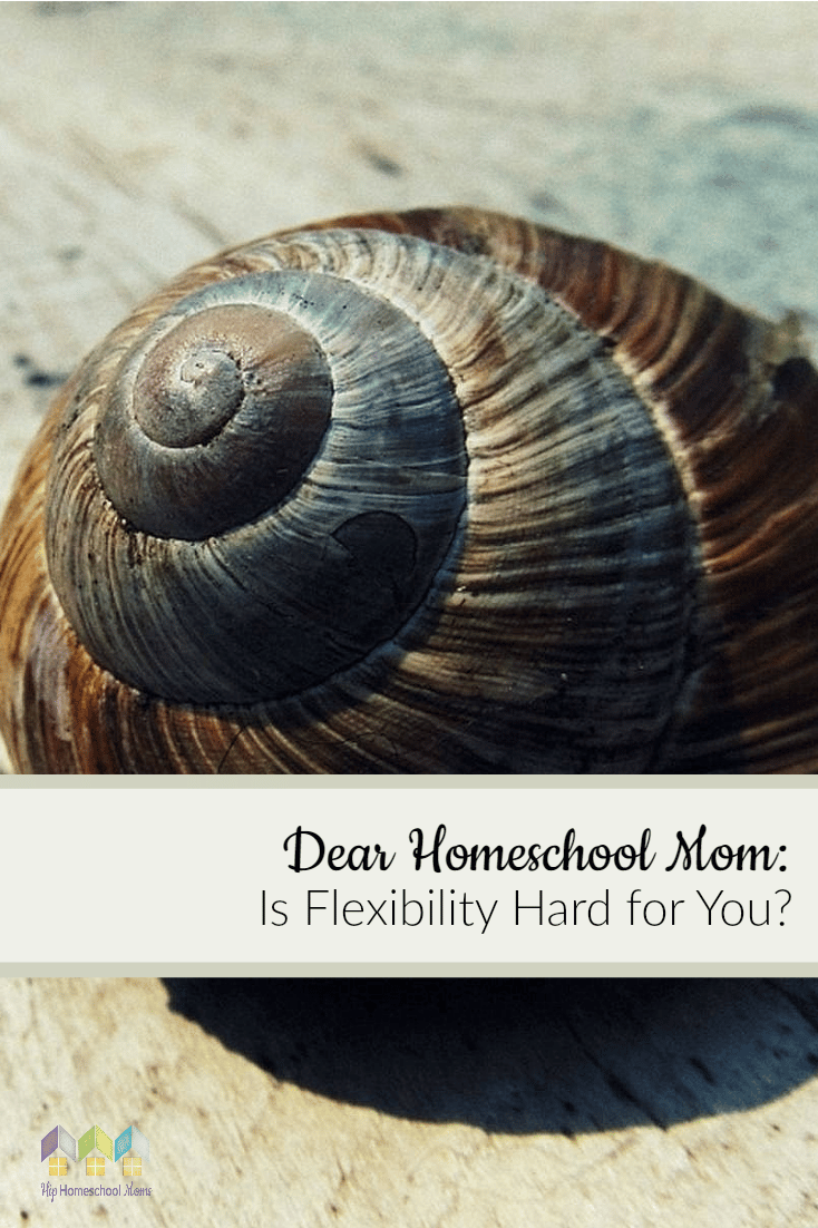 Dear Homeschool Mom: Is Flexibility Hard for You? - Hip Homeschool Moms