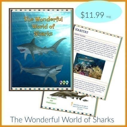 Free Sharks Workbook During Shark Week