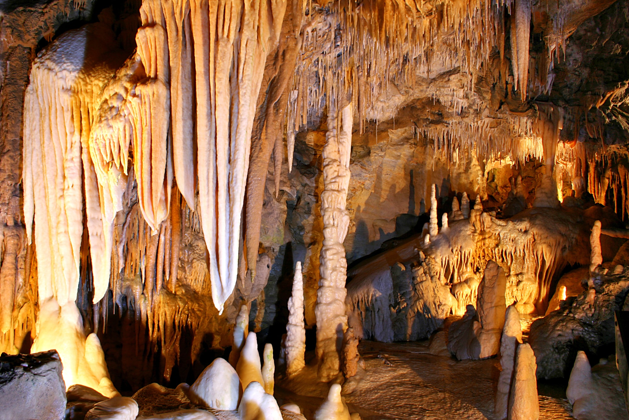 Homeschool Road Trip to Explore the World’s Longest Cave System!