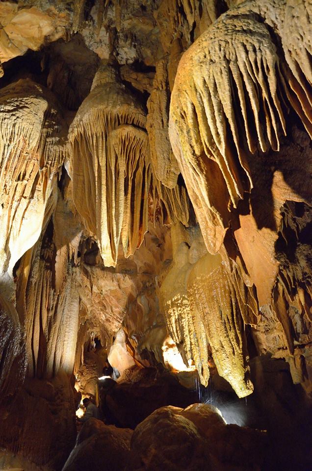 Homeschool Road Trip to Explore the World's Longest Cave System! | Hip ...