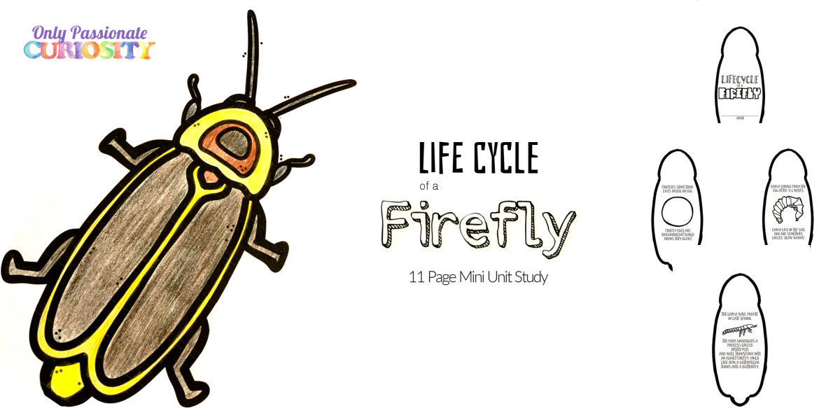 DEAL ALERT: Free Firefly Mini Unit Study